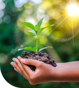 Renewable Energy