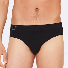 Briefs